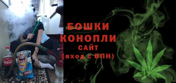 ПСИЛОЦИБИНОВЫЕ ГРИБЫ Горно-Алтайск