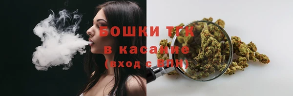 ПСИЛОЦИБИНОВЫЕ ГРИБЫ Горно-Алтайск