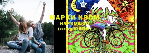 ПСИЛОЦИБИНОВЫЕ ГРИБЫ Горно-Алтайск