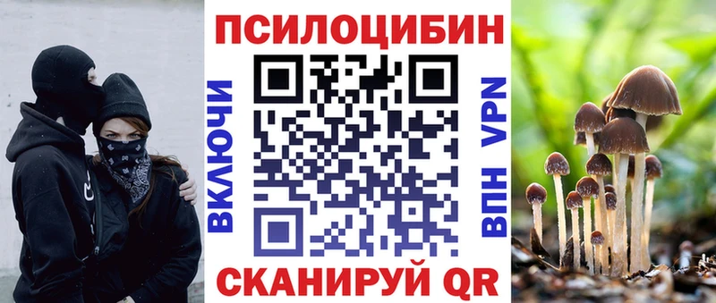 MEGA зеркало наркотики Данилов Галлюциногенные грибы мицелий