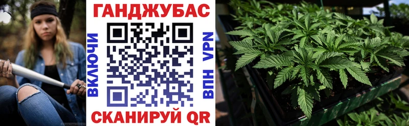 Бошки Шишки MAZAR  блэк спрут зеркало  Данилов 